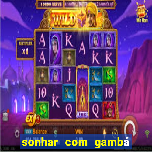 sonhar com gambá jogo do bicho